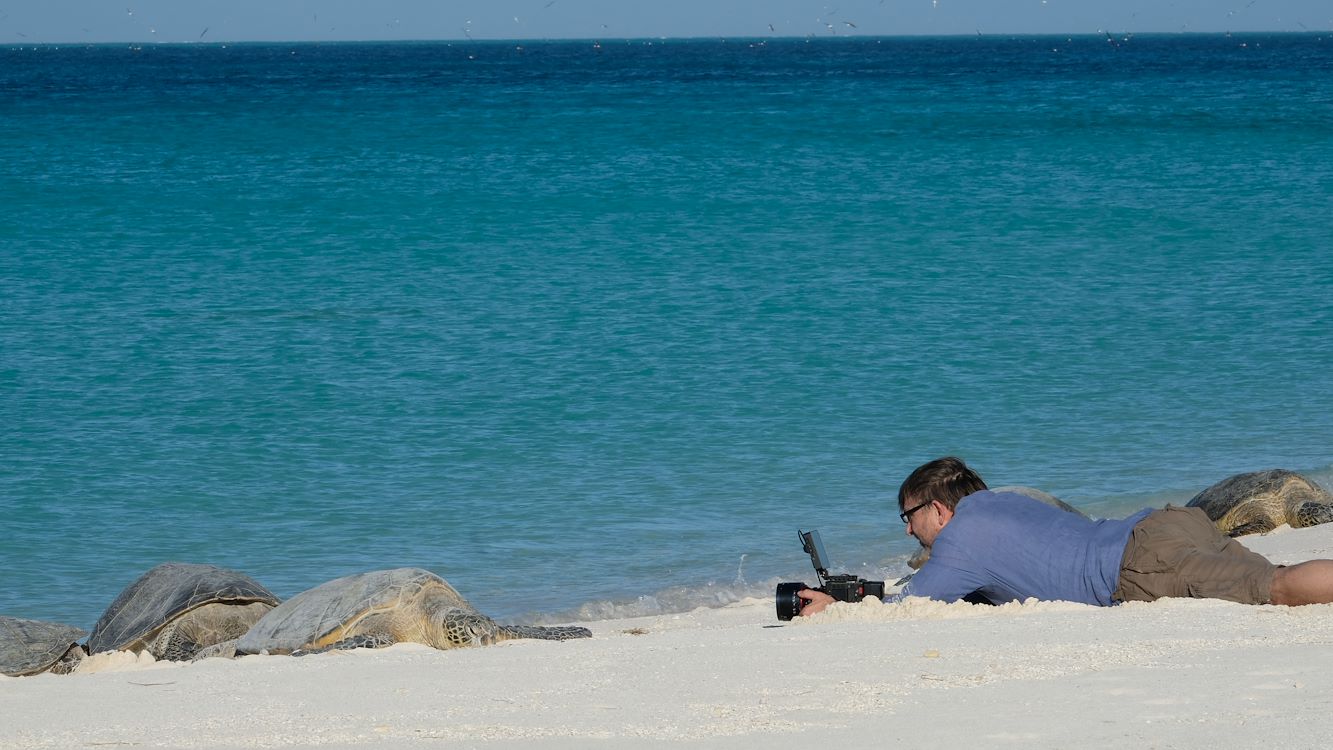 OCEAN with David Attenborough