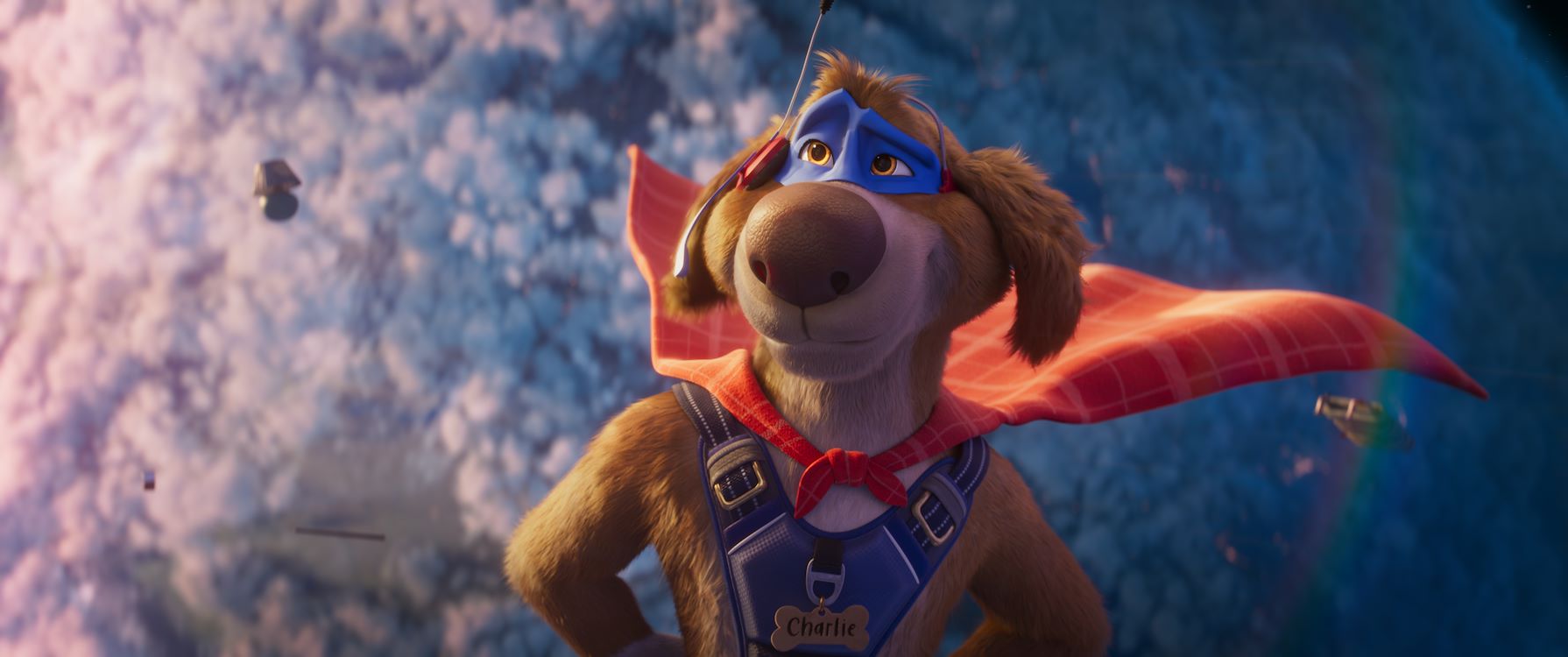 Charlie The Wonderdog