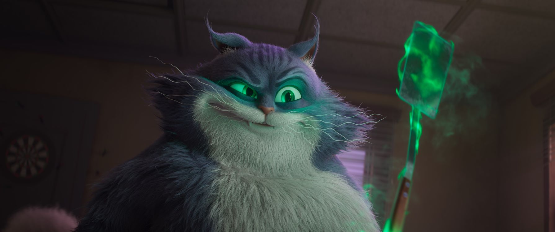 Charlie The Wonderdog