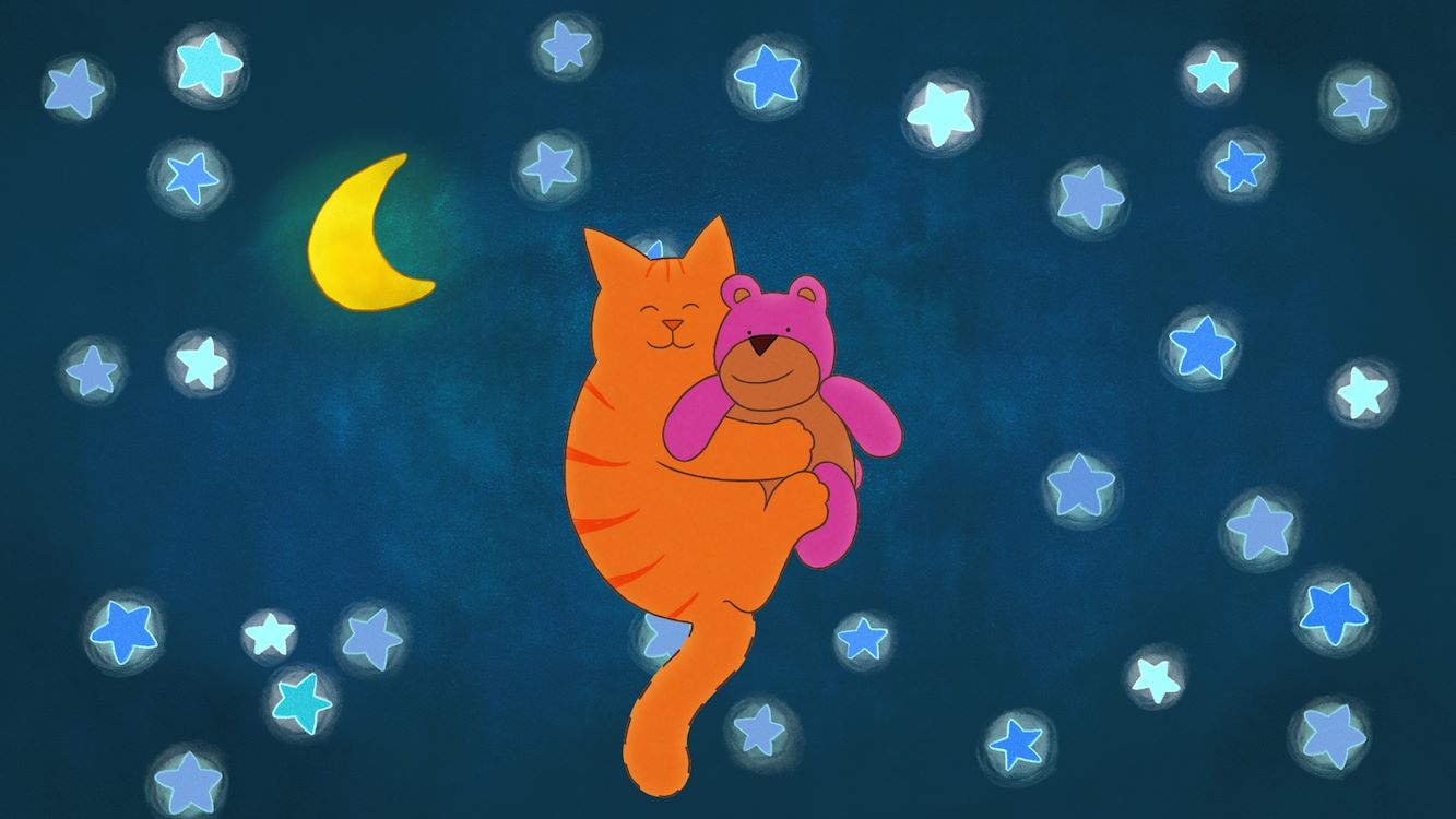 Dikkie Dik en de verdwenen knuffel