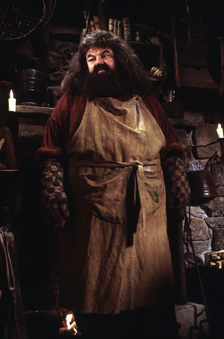 Harry Potter And The Philosopher's Stone (25th Anniversary)