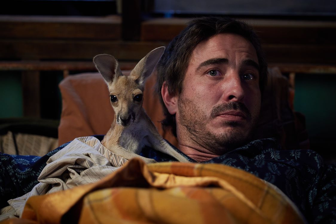 Kangaroo