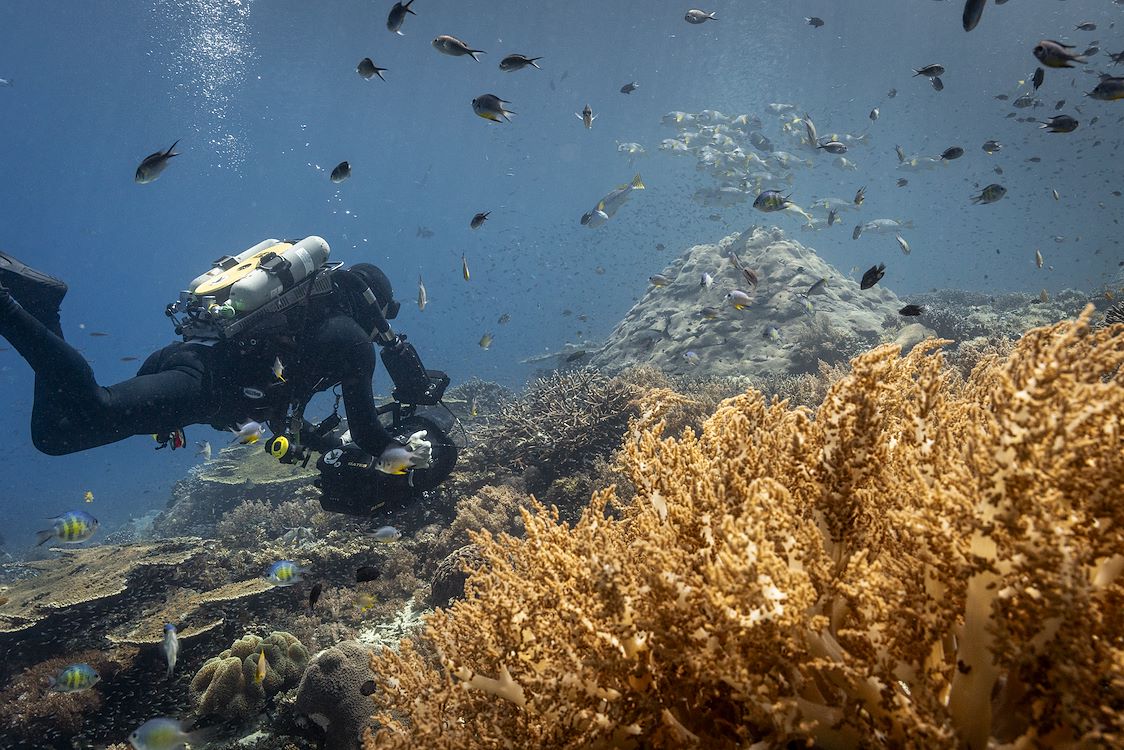 OCEAN with David Attenborough