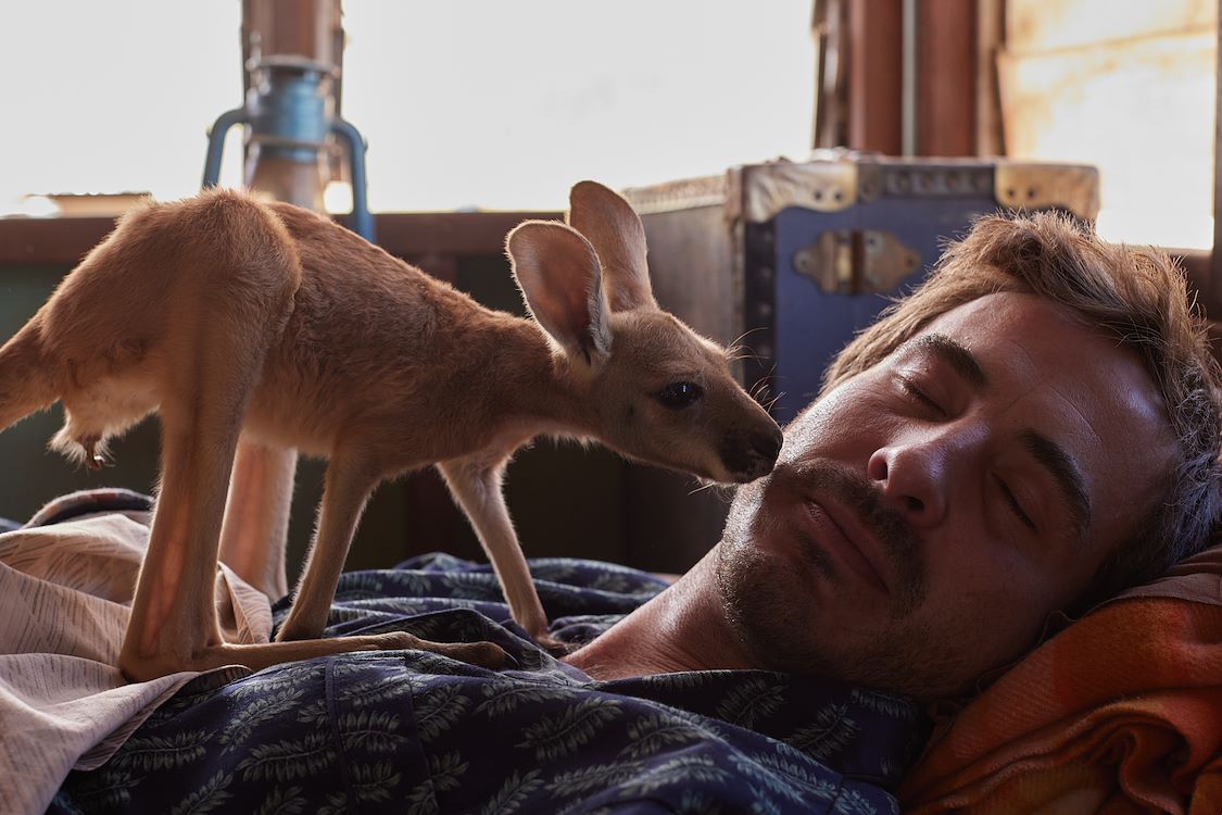 Kangaroo