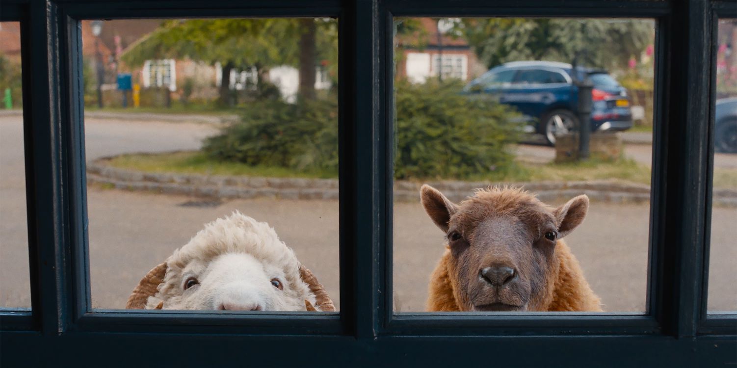 The Sheep Detectives (2D NL)