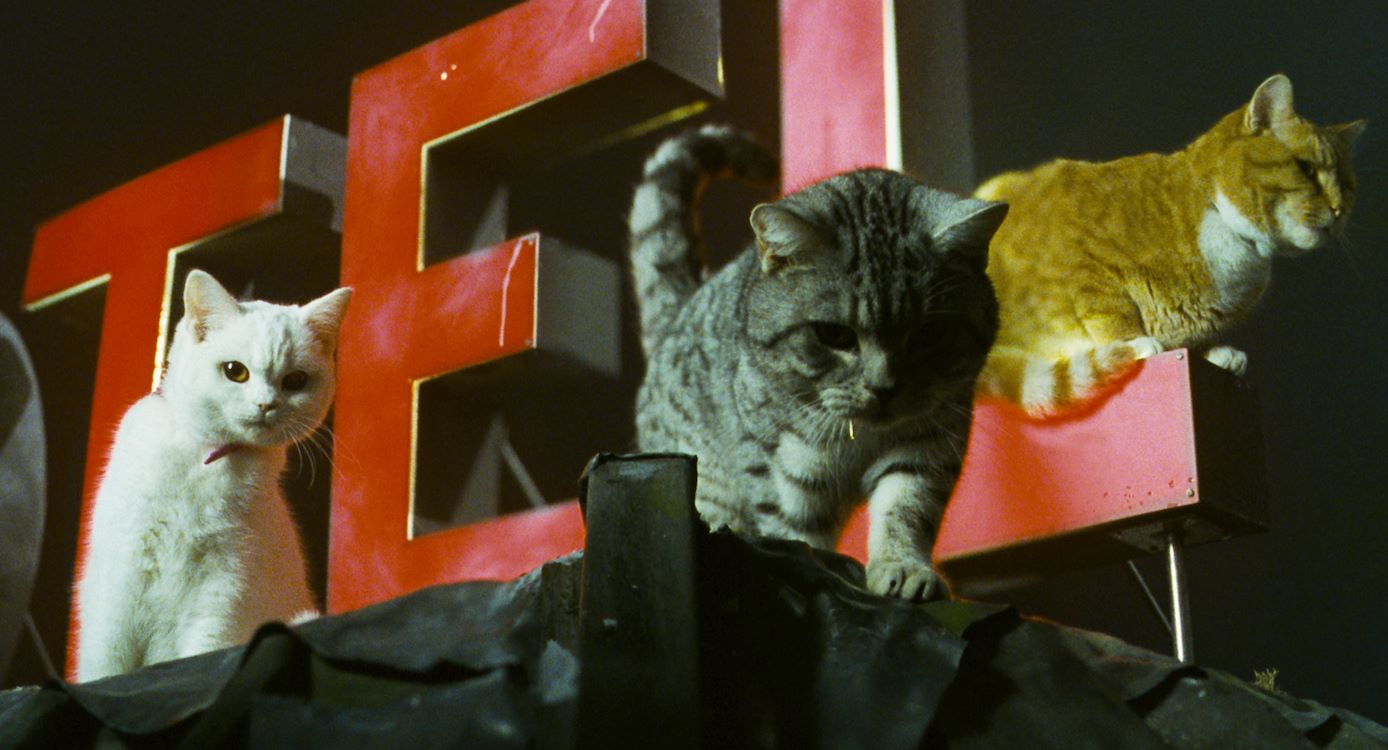 Minoes (25 jaar)